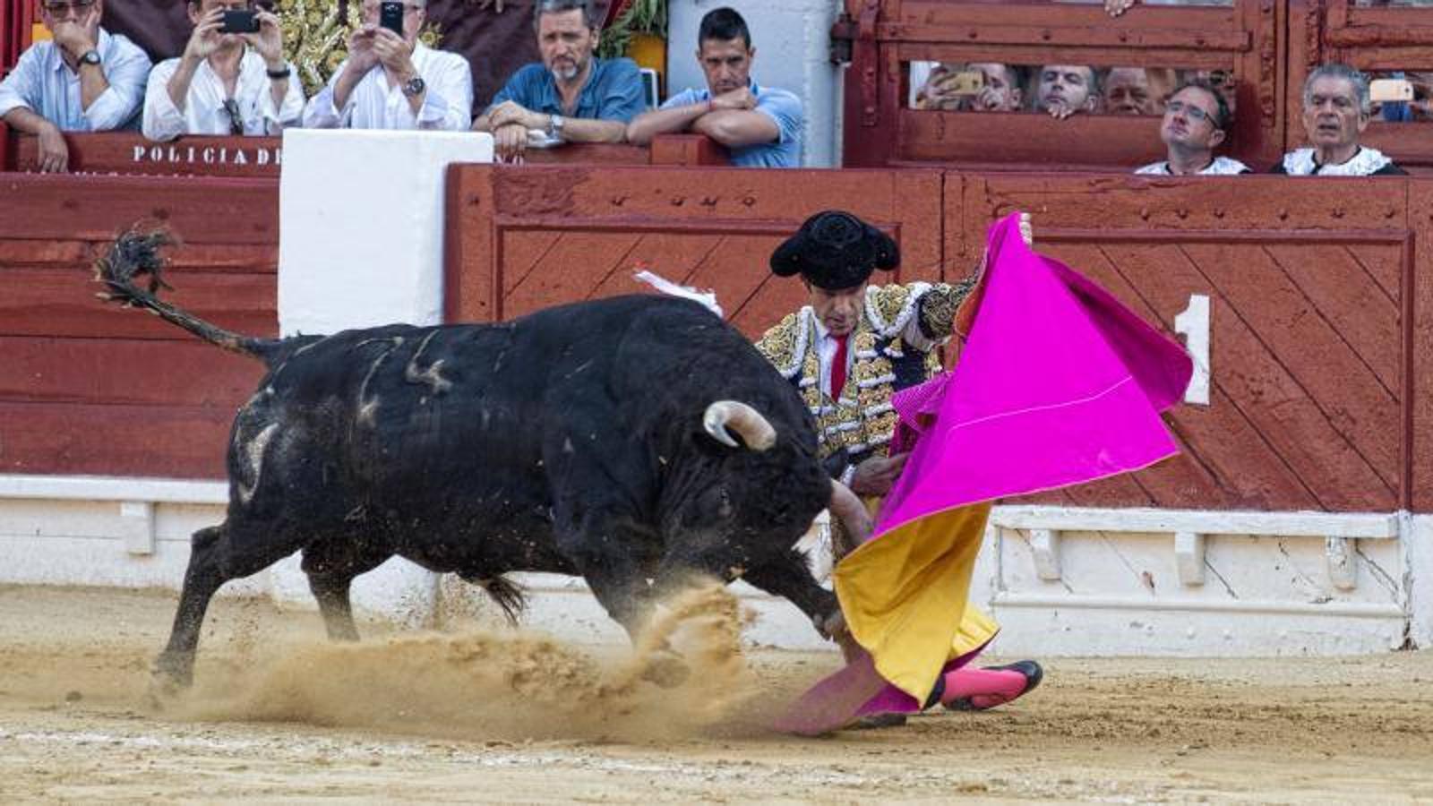 José Tomás deslumbra a Alicante