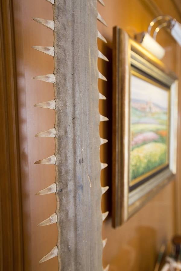 Fotos de la casa de Eduardo Criado