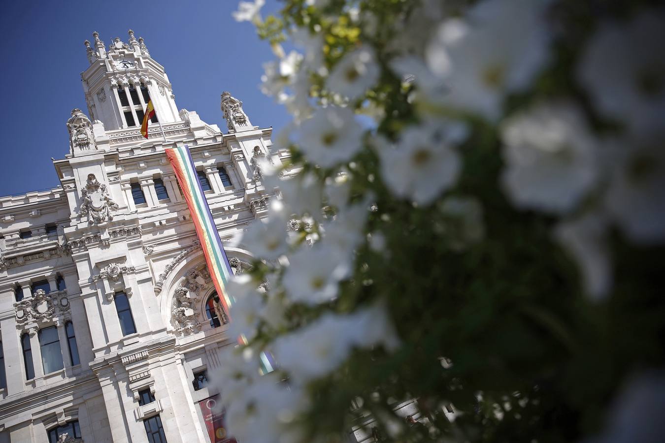 Fotos del día del Orgullo Gay