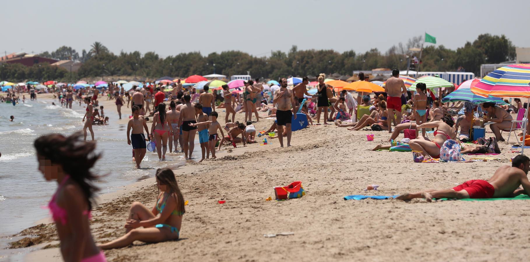 Fotos de la playa canina de Pinedo: perros autorizados