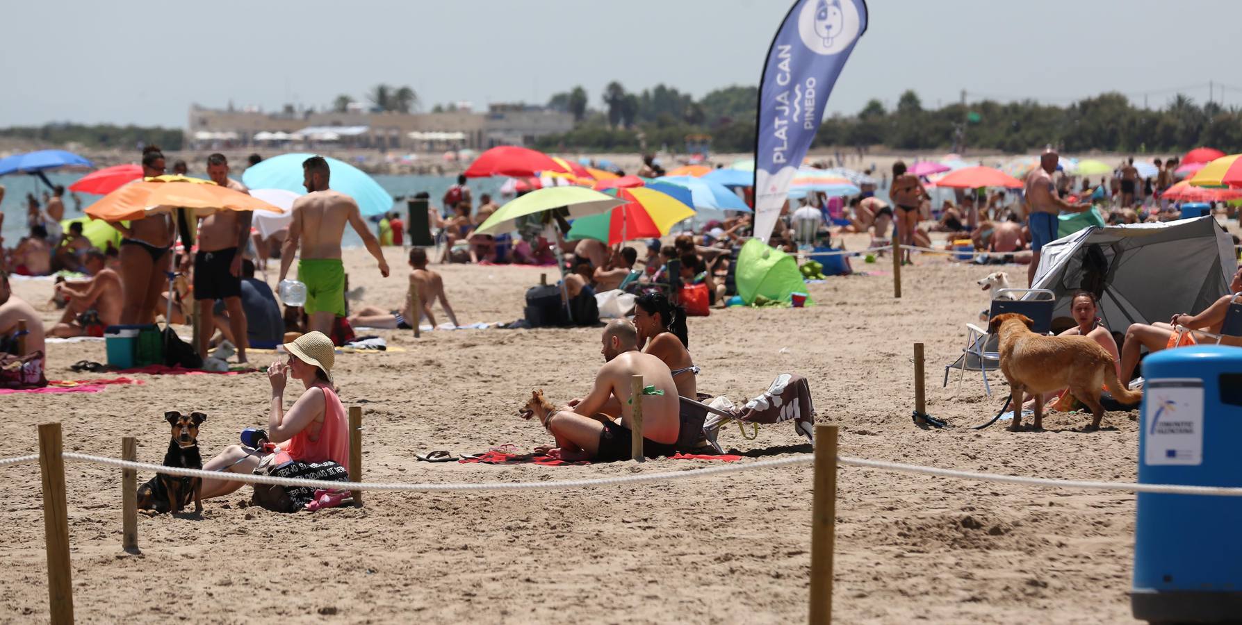 Fotos de la playa canina de Pinedo: perros autorizados