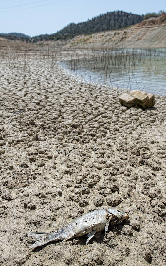 Sequía en el pantano del Amadorio, en Villajoyosa