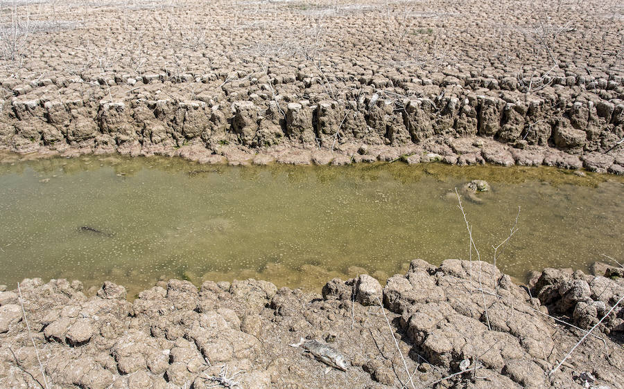 Sequía en el pantano del Amadorio, en Villajoyosa