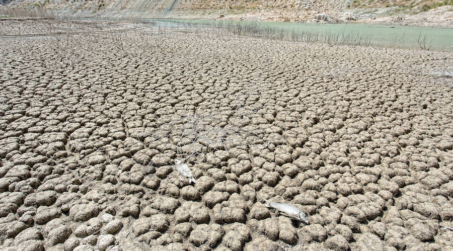 Sequía en el pantano del Amadorio, en Villajoyosa