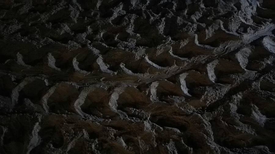 Encuentran una tortuga desovando en un playa de Sueca