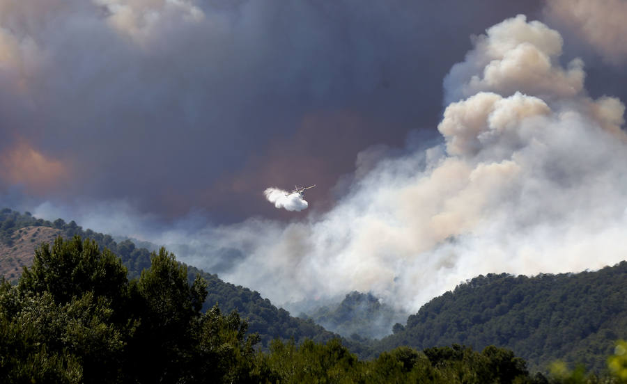 Incendio declarado en Artana