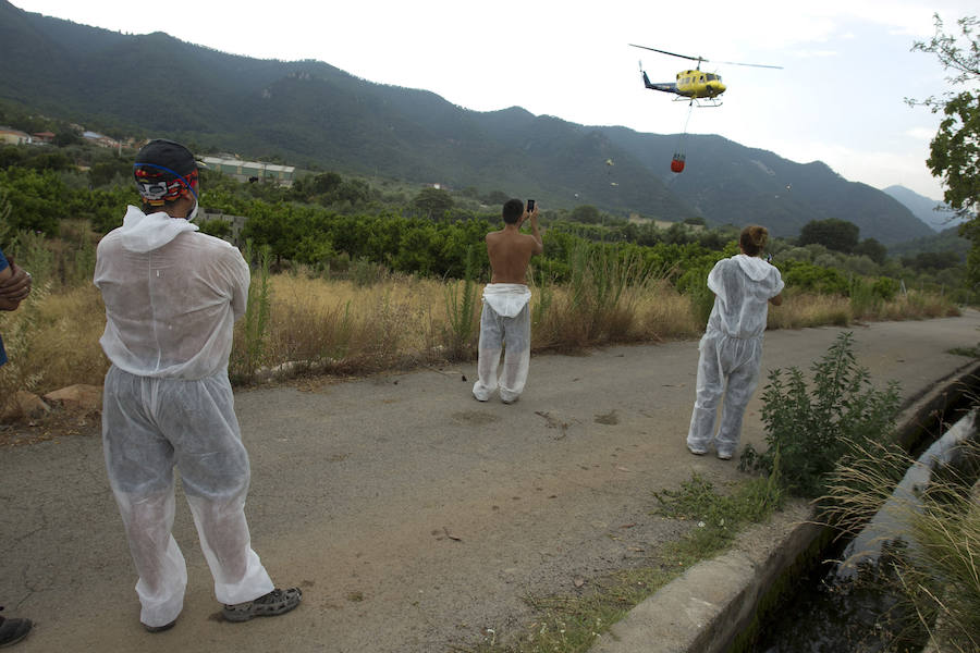 Incendio declarado en Artana