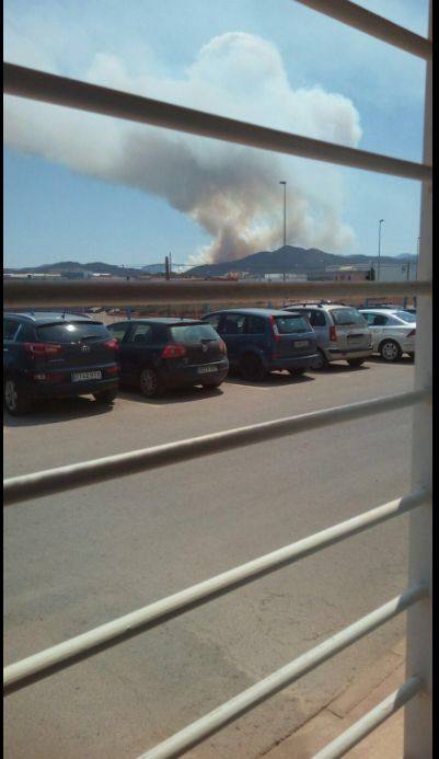 Incendio declarado en Artana