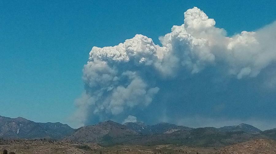 Incendio declarado en Artana