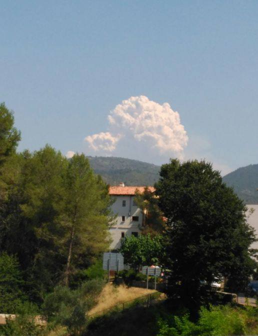 Incendio declarado en Artana