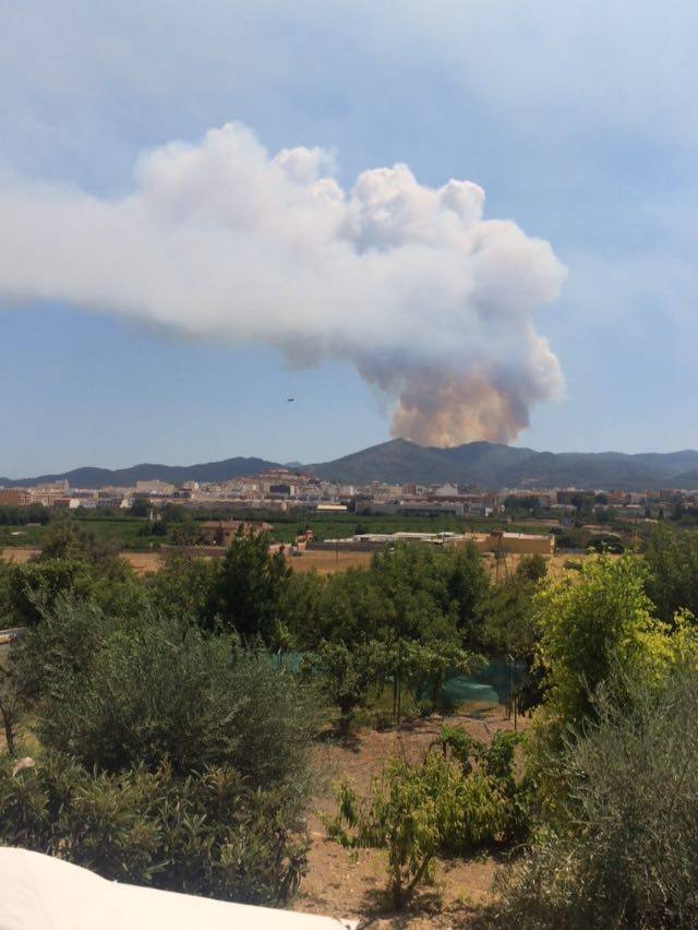 Incendio declarado en Artana