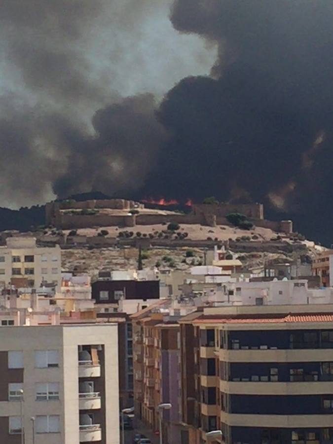 Incendio declarado en Artana