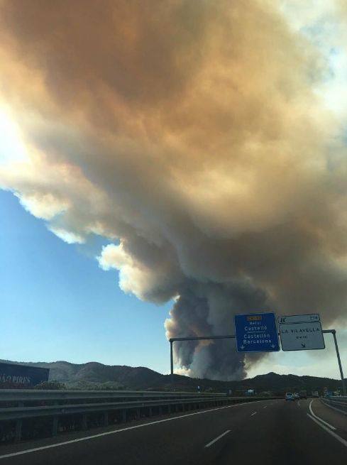 Incendio declarado en Artana