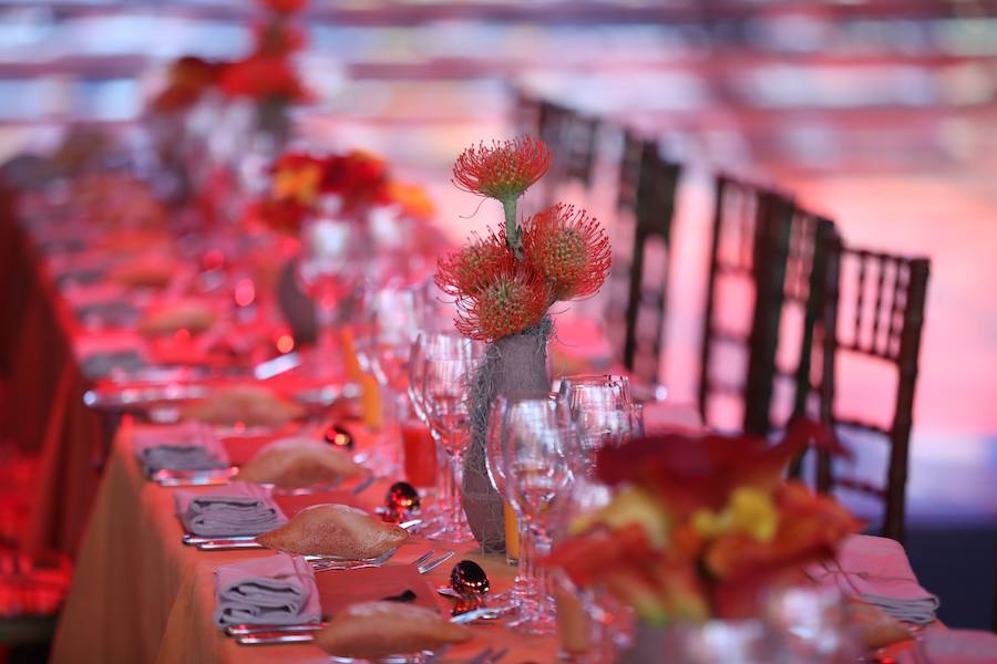 Fotos del baile de la Cruz Roja de Mónaco
