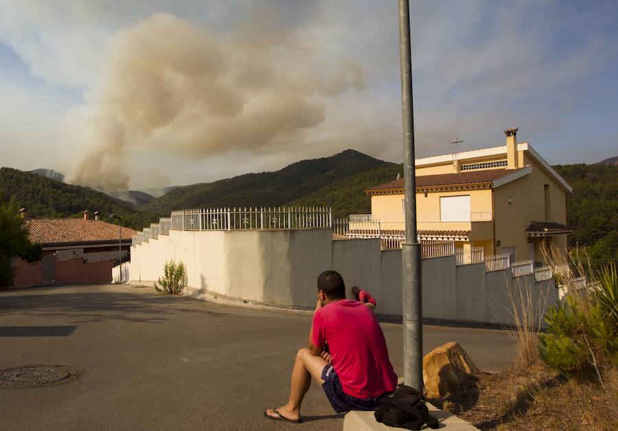 Incendio declarado en Artana