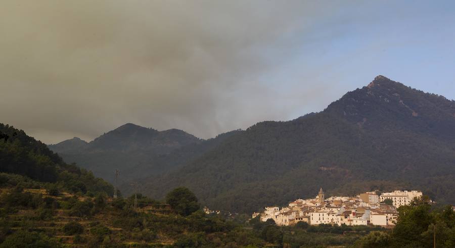 Incendio declarado en Artana