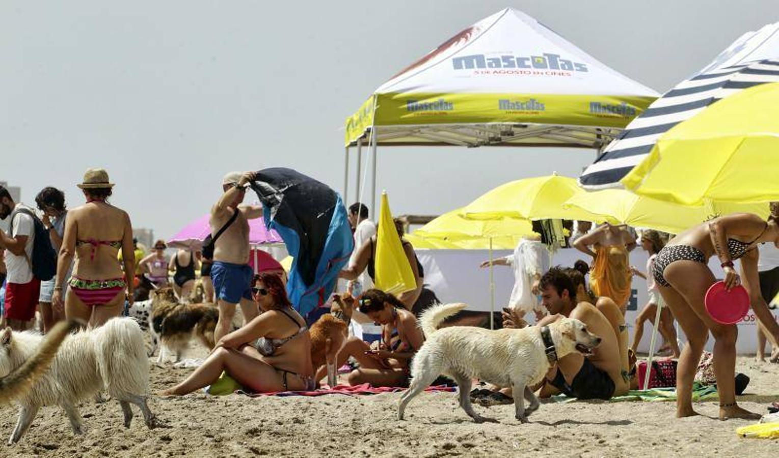 Una playa de cine