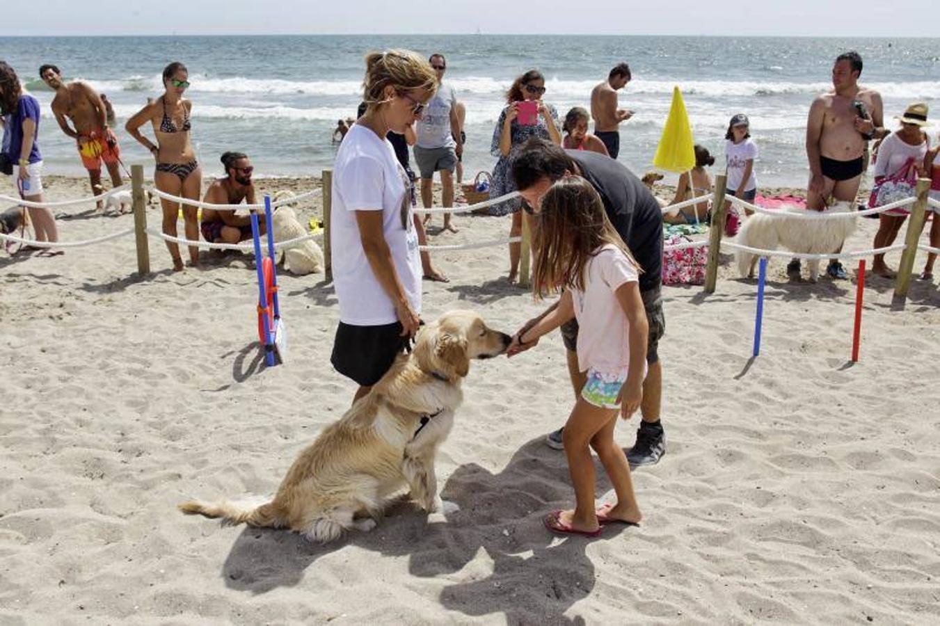 Una playa de cine