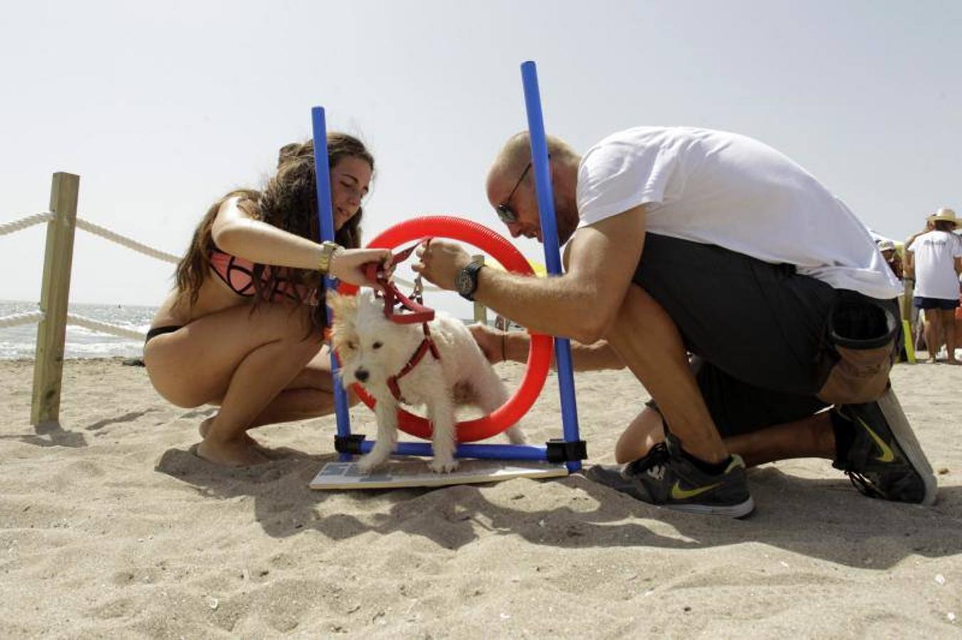 Una playa de cine