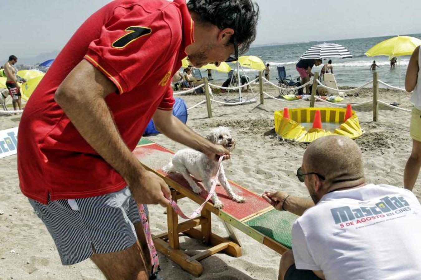 Una playa de cine