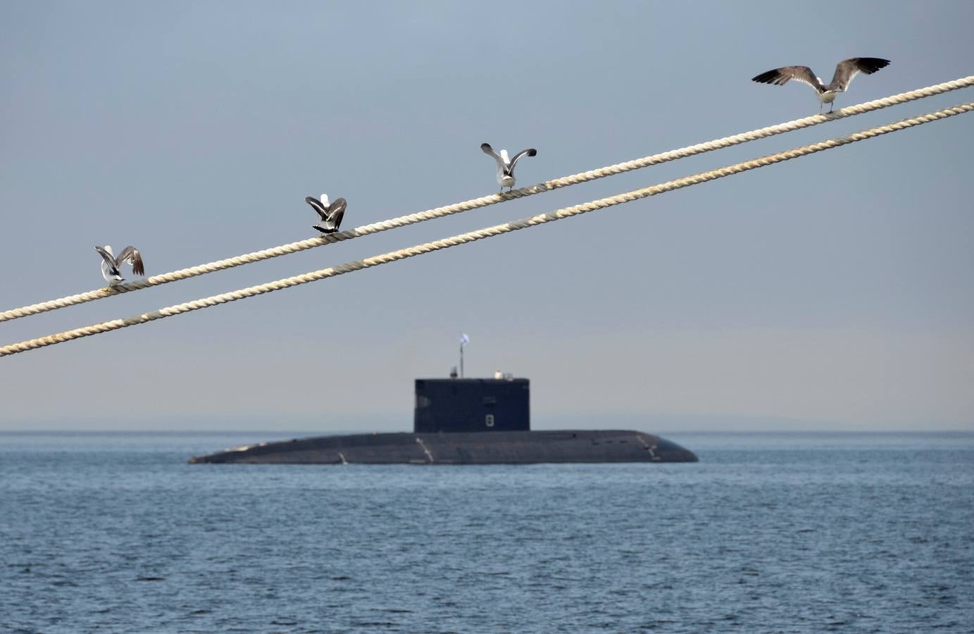 Gaviotas en un cabo, durante unas maniobras militares en Vladivostok (Rusia). / REUTERS/Yuri Maltsev