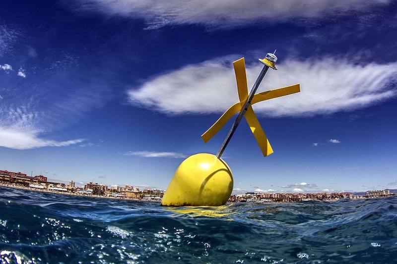 Fotos de bucear entre doradas y pulpos en la Malvarrosa