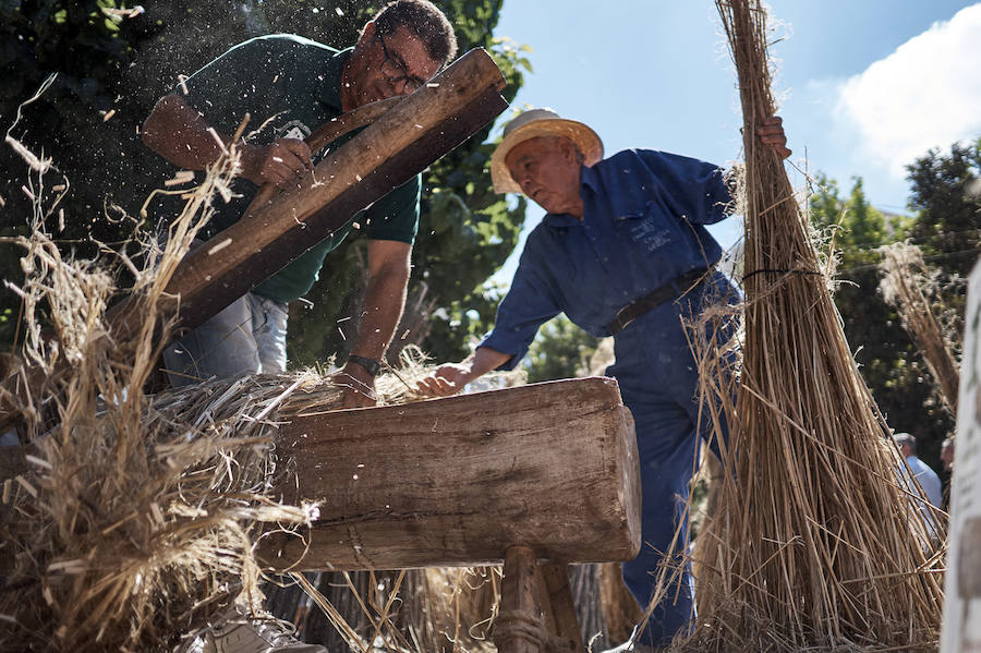 Jornada dedicada a la cultura del cáñamo