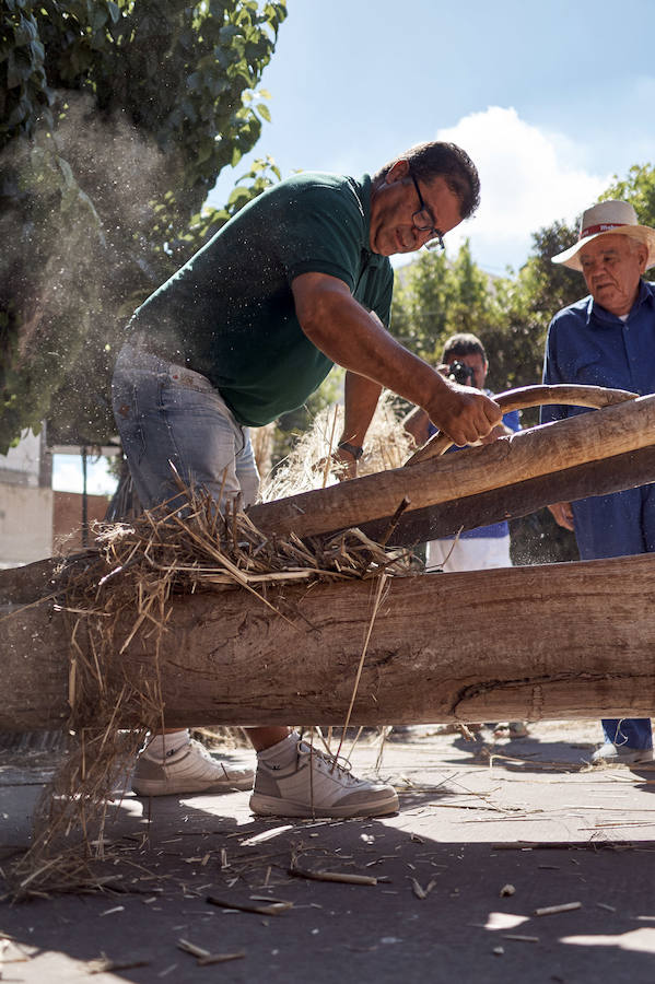 Jornada dedicada a la cultura del cáñamo