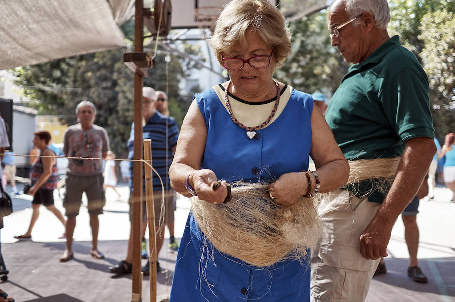Jornada dedicada a la cultura del cáñamo