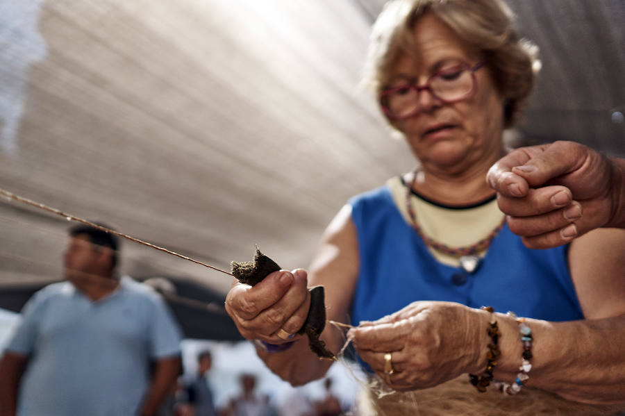 Jornada dedicada a la cultura del cáñamo