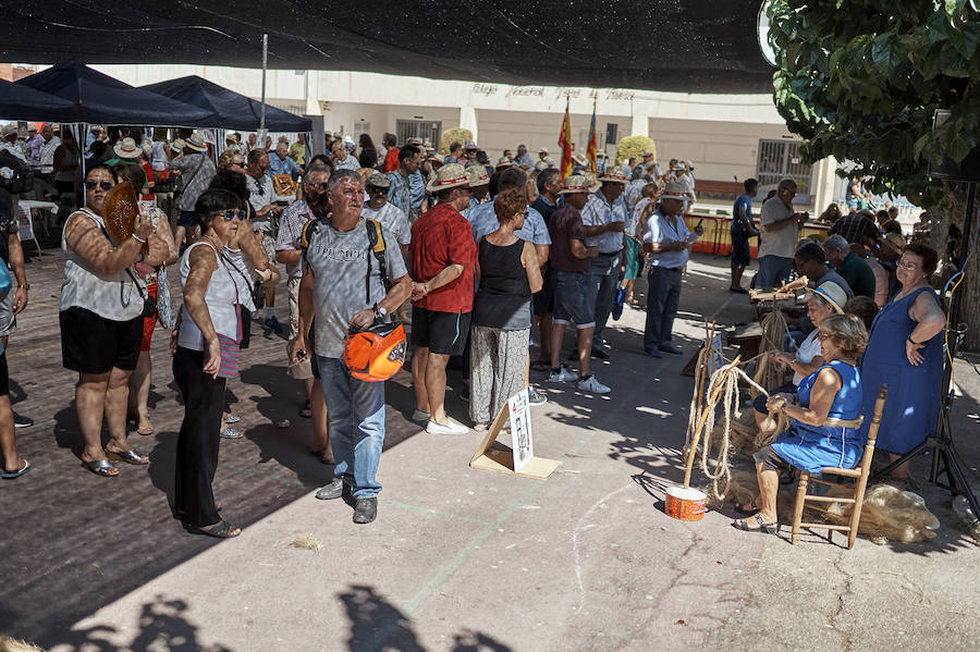 Jornada dedicada a la cultura del cáñamo