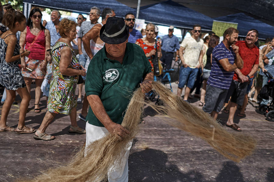 Jornada dedicada a la cultura del cáñamo