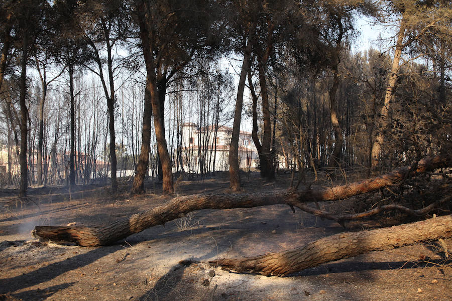 Fotos del incendio de la Granadella, en Xàbia y Benitatxell