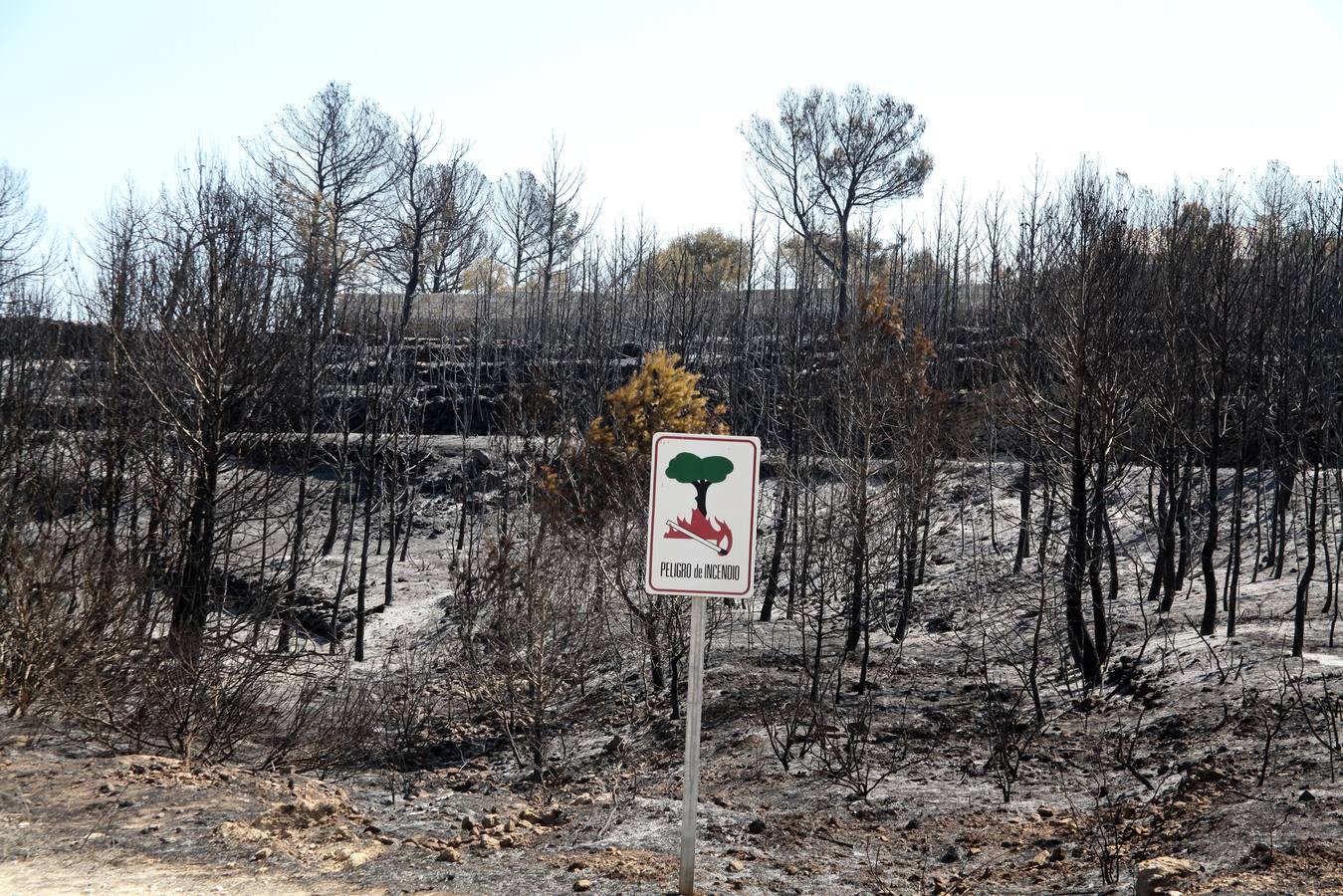 Fotos del incendio de la Granadella, en Xàbia y Benitatxell