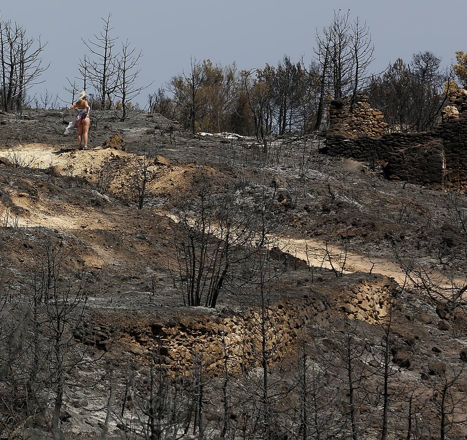 Fotos de la Granadella quemada en el incendio de Xàbia y Benitatxell