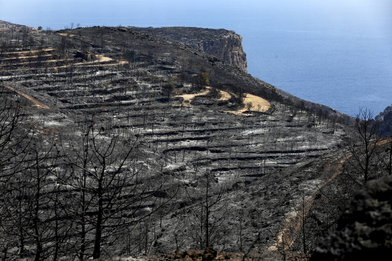 Fotos de la Granadella quemada en el incendio de Xàbia y Benitatxell