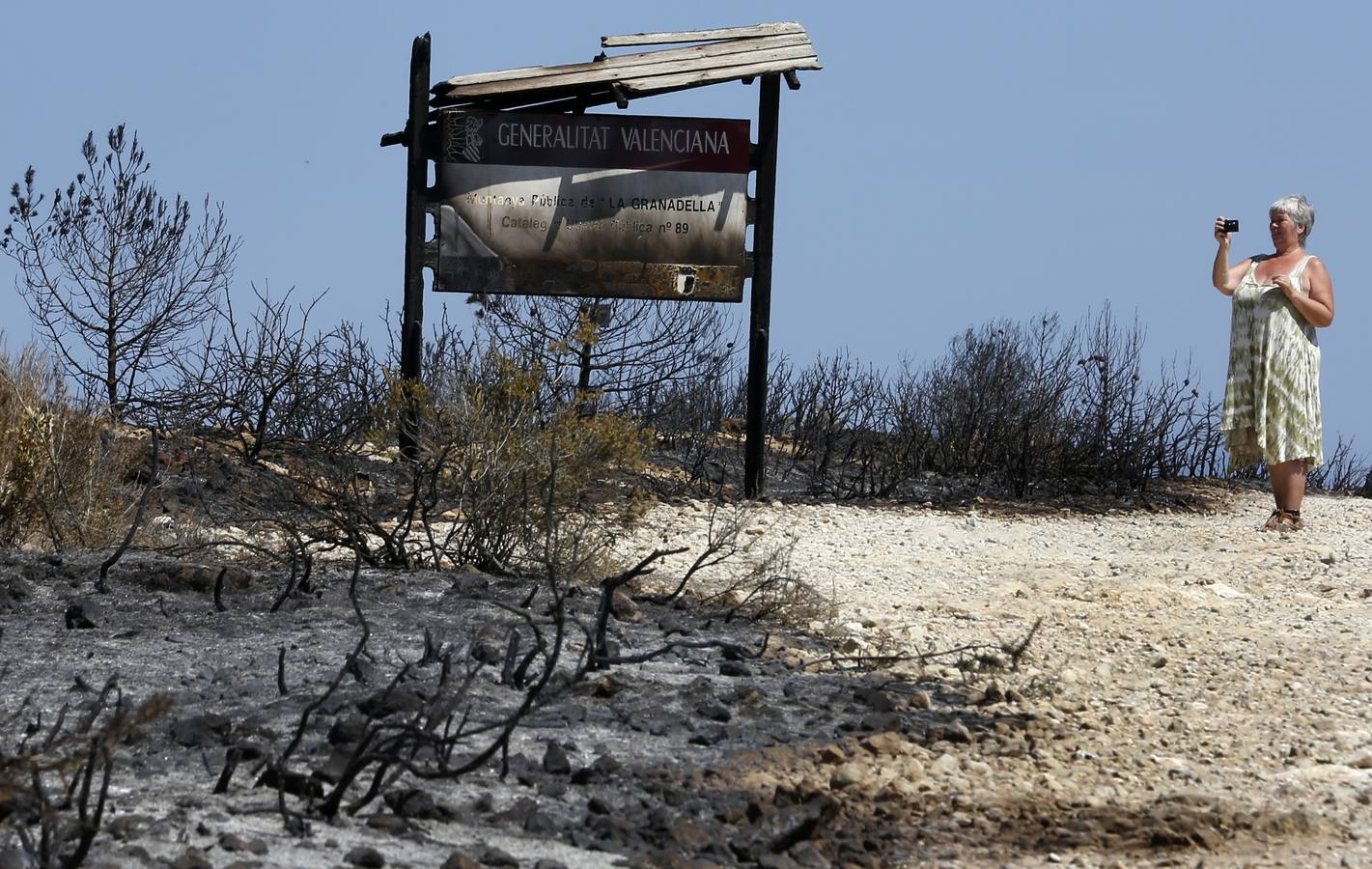 Fotos de la Granadella quemada en el incendio de Xàbia y Benitatxell