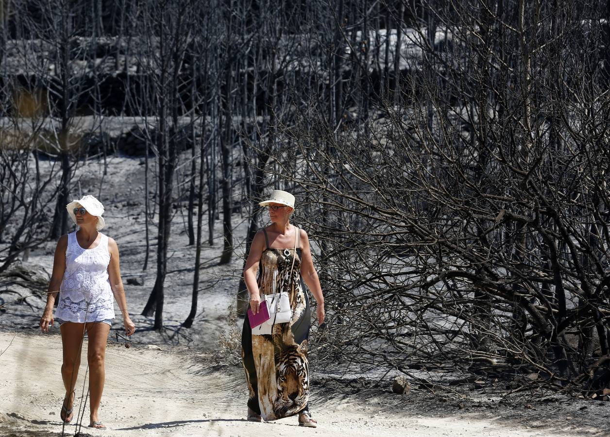 Fotos de la Granadella quemada en el incendio de Xàbia y Benitatxell