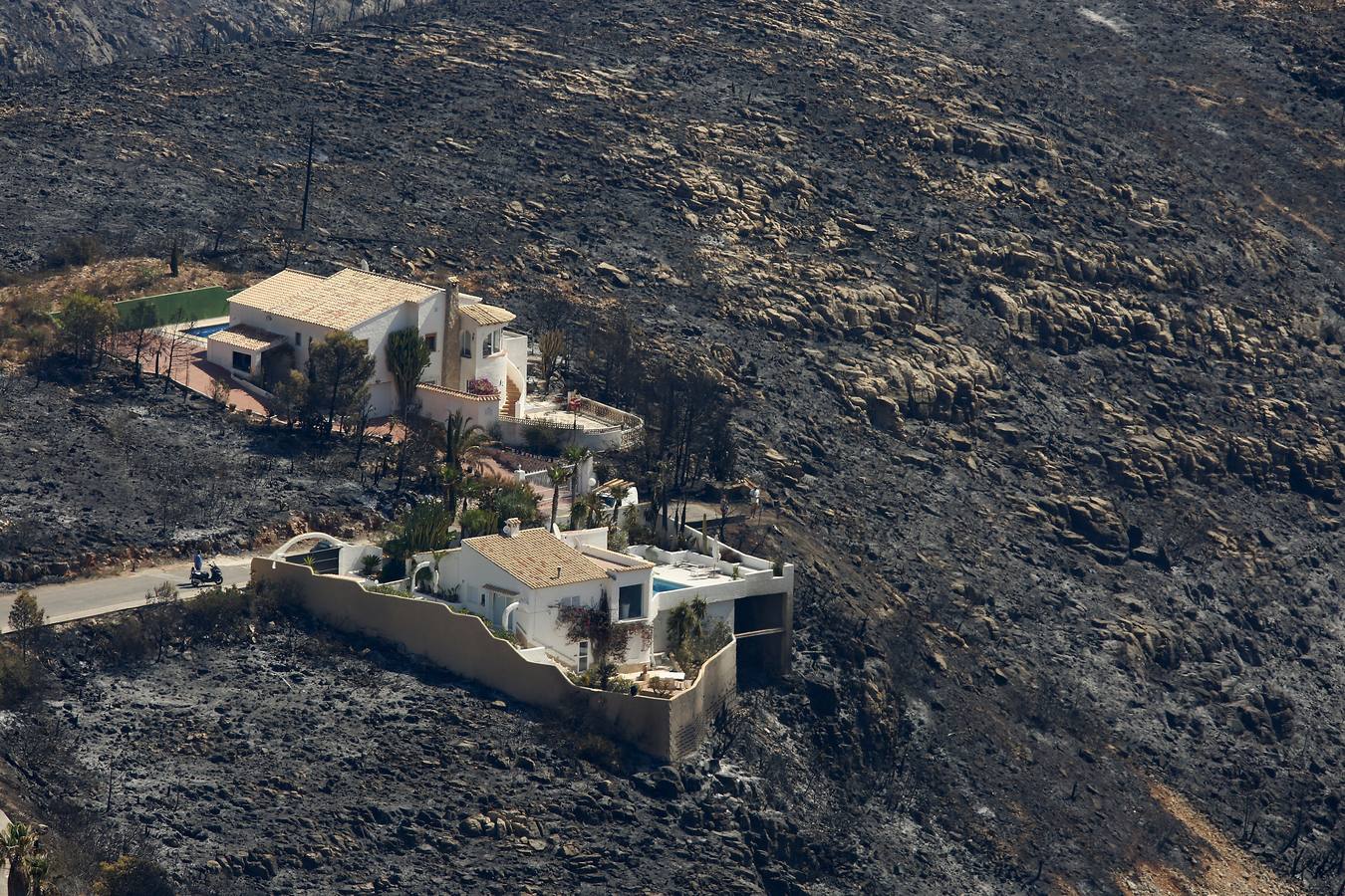 Fotos de la Granadella quemada en el incendio de Xàbia y Benitatxell