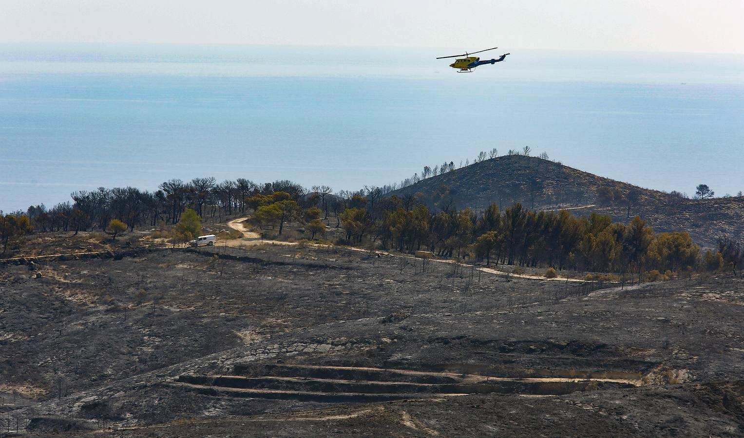 Fotos de la Granadella quemada en el incendio de Xàbia y Benitatxell