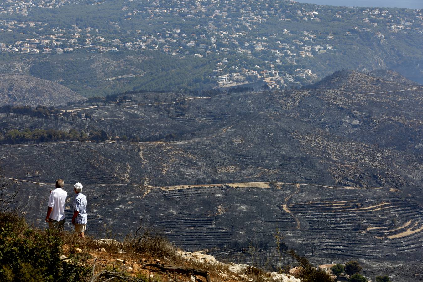 Fotos de la Granadella quemada en el incendio de Xàbia y Benitatxell