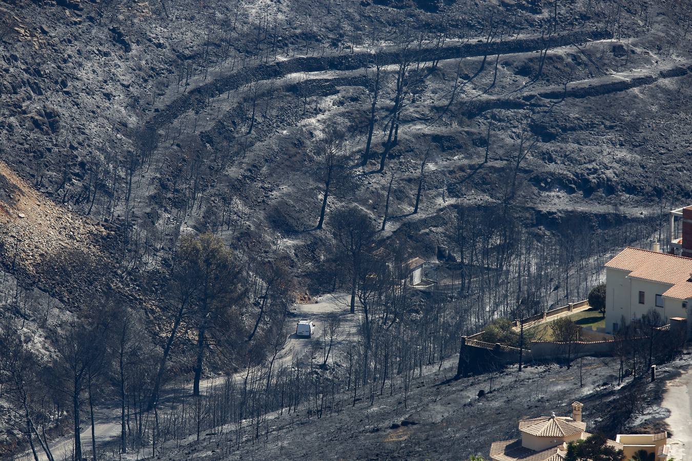 Fotos de la Granadella quemada en el incendio de Xàbia y Benitatxell