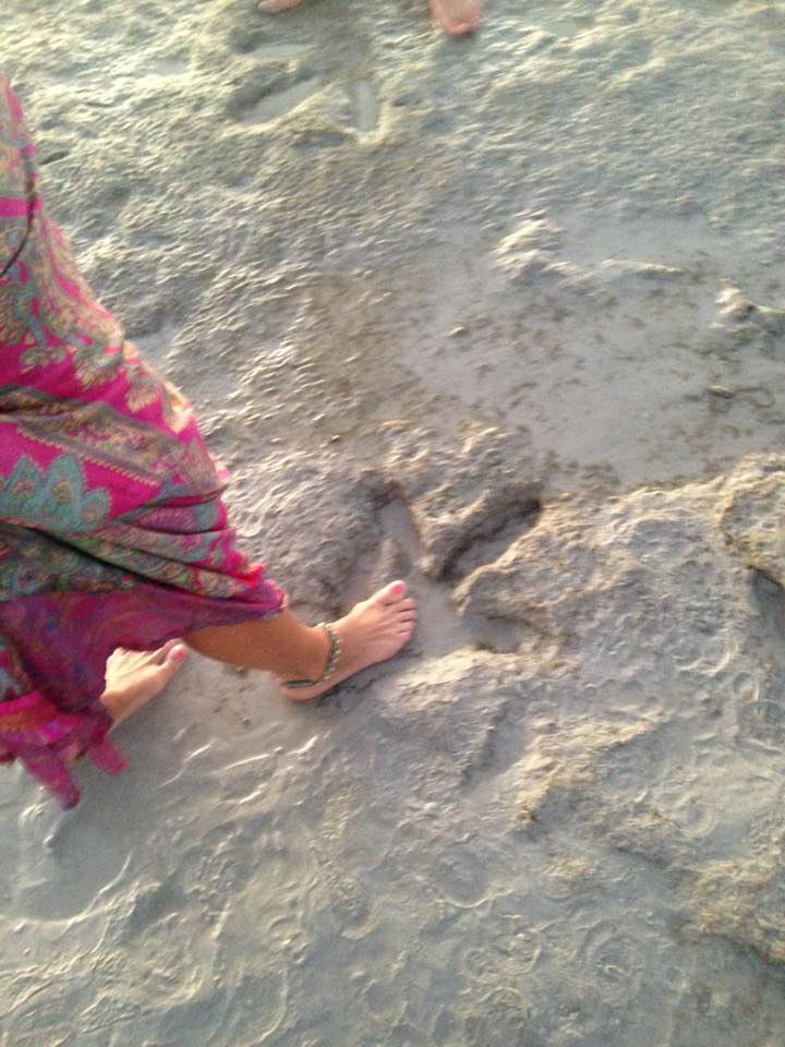 Fotos de las huellas de dinosaurio encontradas en Australia