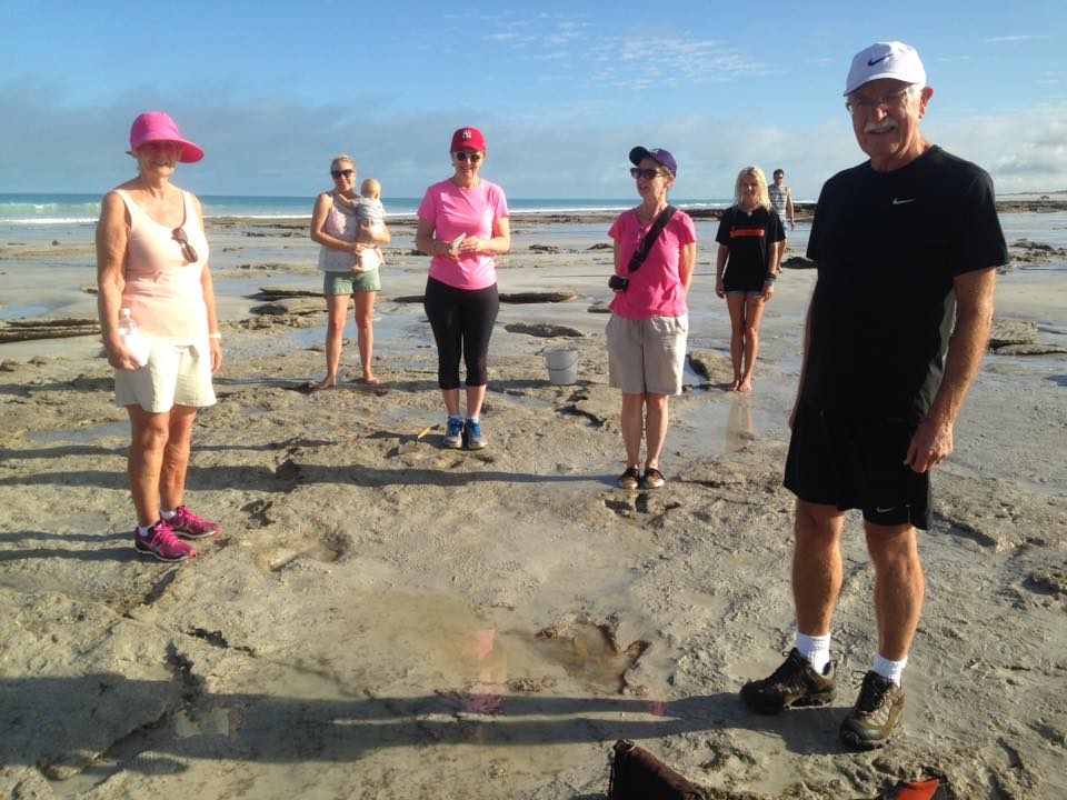 Fotos de las huellas de dinosaurio encontradas en Australia