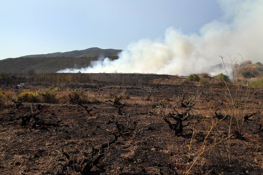 Fotos del incendio en el vertedero de Ramblars (Xàbia)