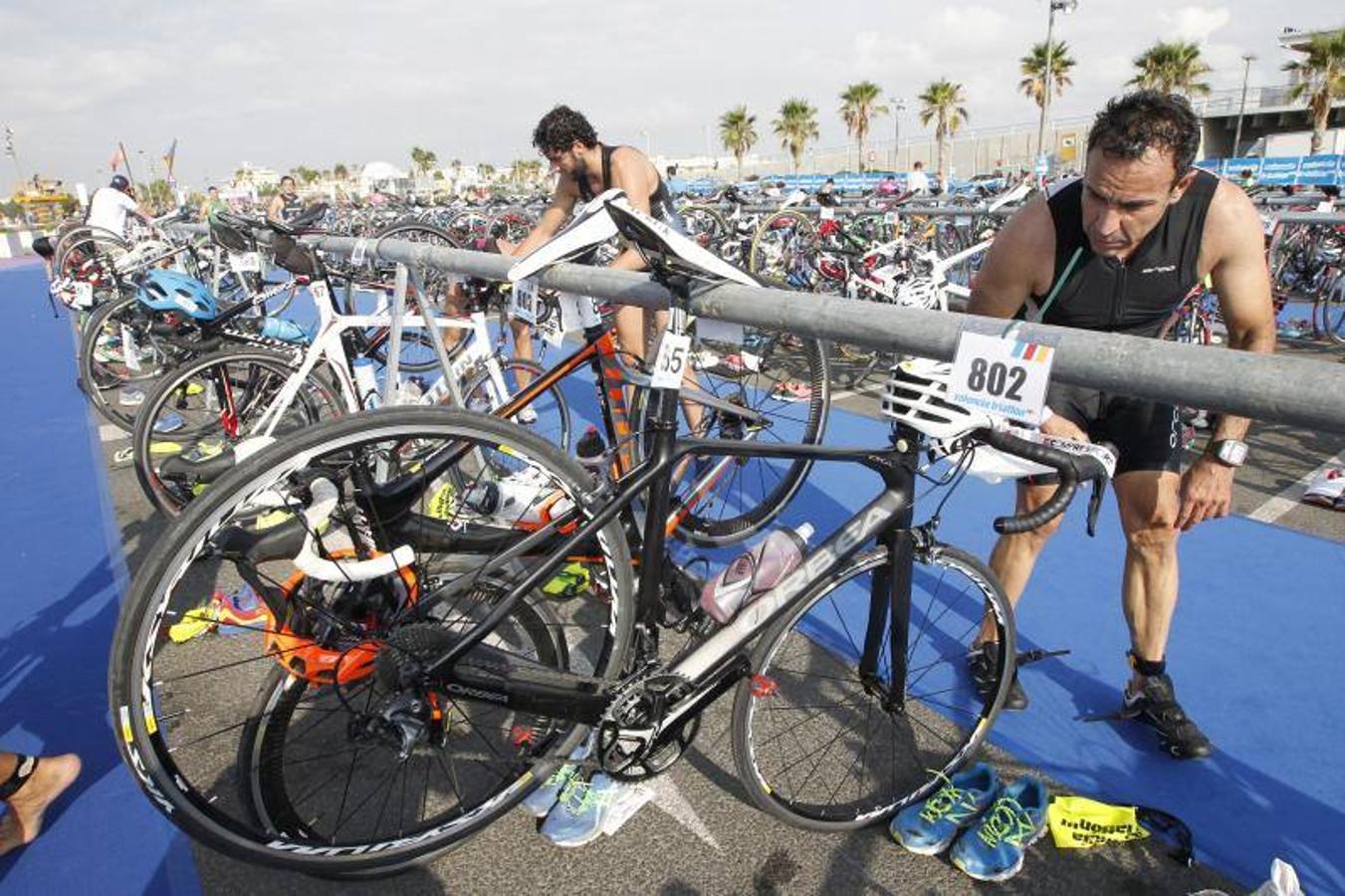 Triatlón de Valencia 2016 en la Marina Real