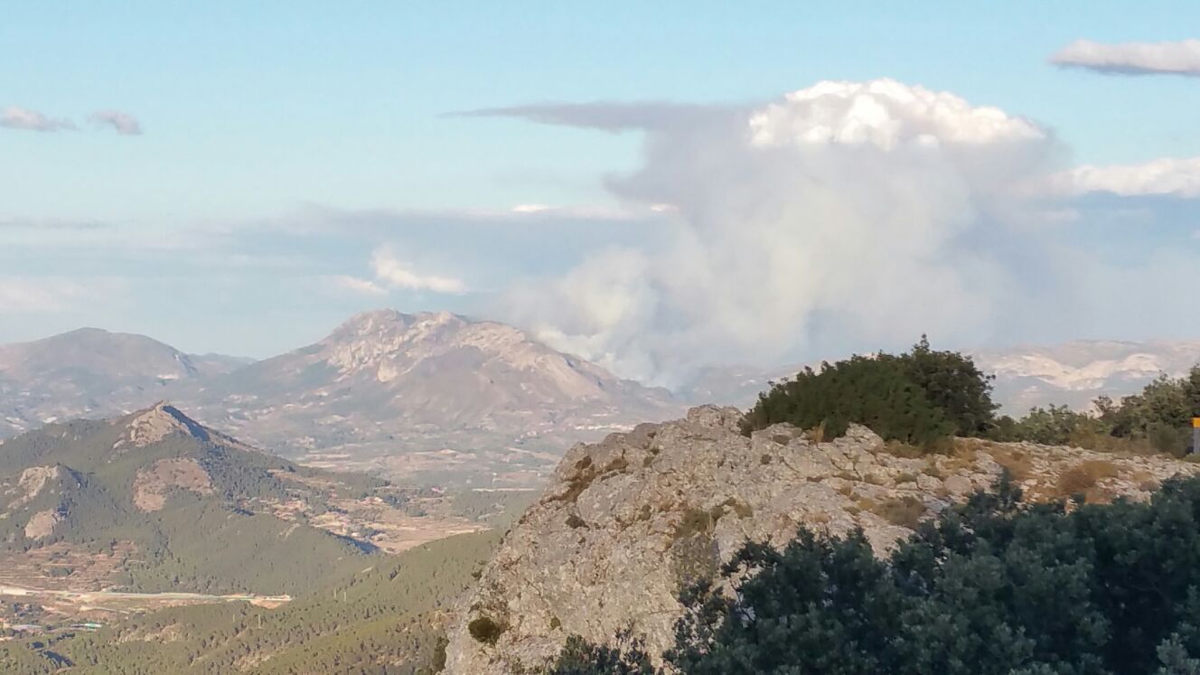 Fotos del incendio forestal de Benasau, cerca de Alcoy