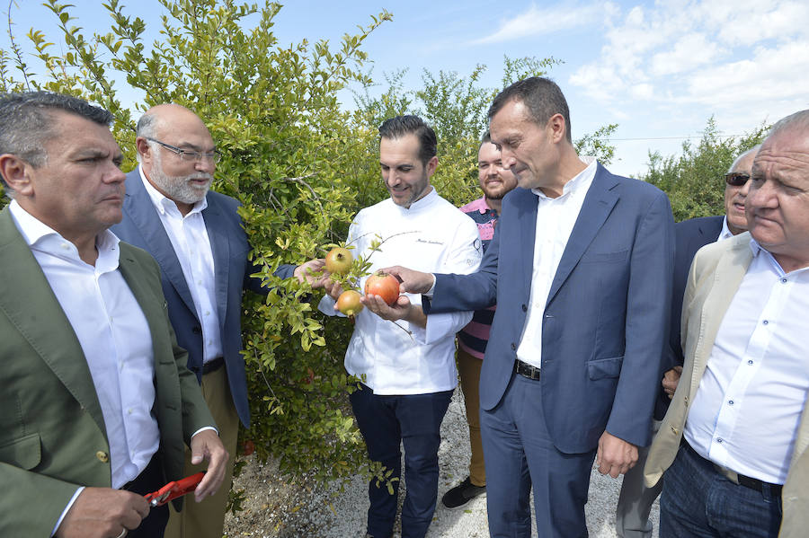 Corte de la granada mollar por el chef Mario Sandoval