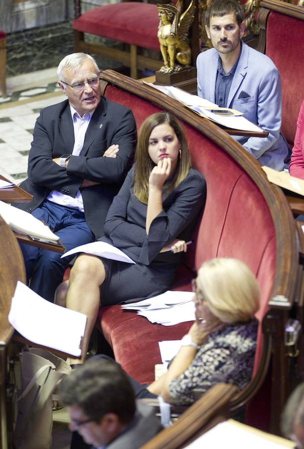 Fotos del pleno del Ayuntamiento