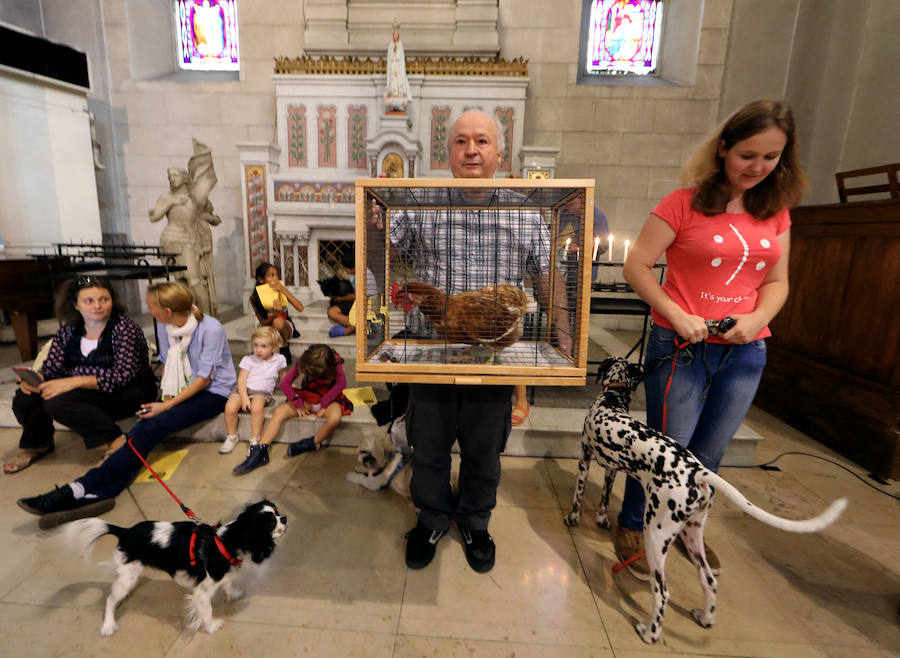 Pintoresca bendición de animales en una iglesia de Niza